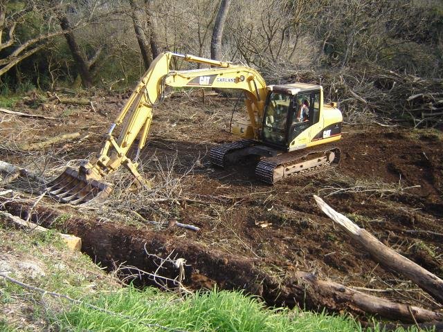 LSP- the beginning, 2008-11 Cambridge Tree Trust